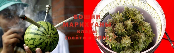 крисы Покачи
