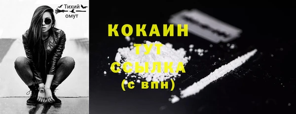 крисы Покачи