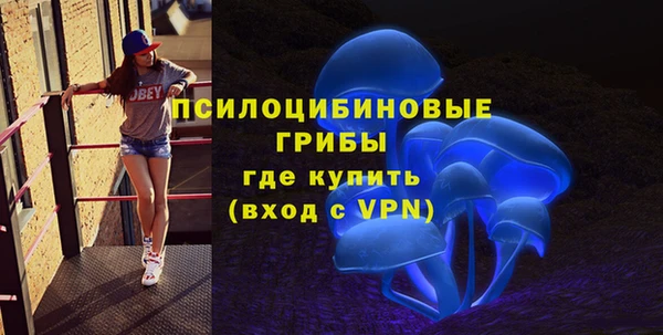 крисы Покачи