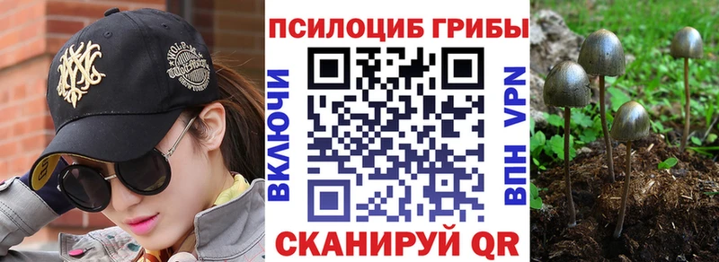 Купить где Сибай Галлюциногенные грибы прущие грибы